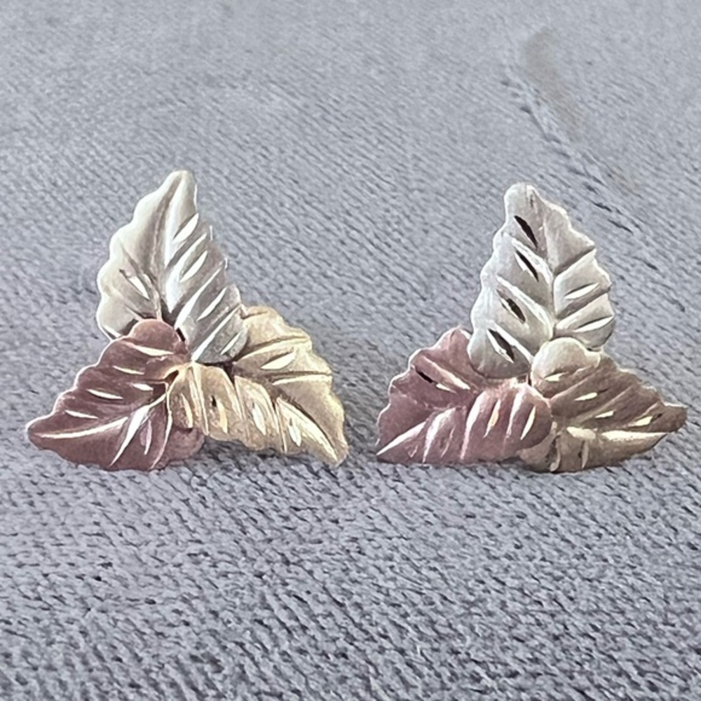 EARRINGS - Picture 1 of 11